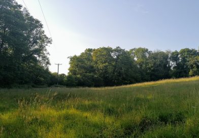 View of hay meadow camping field