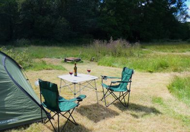 tent, table, wine, campsite, campfire, woods