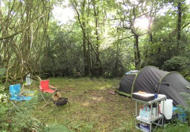 Cathedral Ptich - family nearly wild camping in the woods