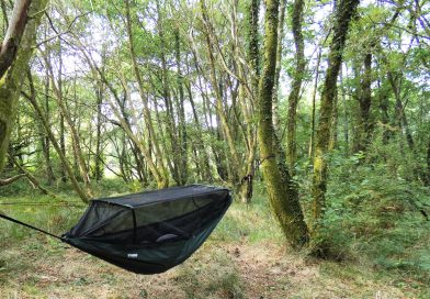Hammock Camping in the Woods