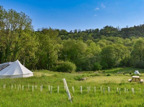 Hay Meadow Camping at Wray Valley  looking stunning in the spring wilth woodland backdrop