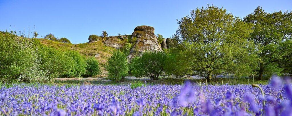 Panoramic view of Blackingstone Rock, an iconic landmark perfect for visitors to Wray Valley exploring Dartmoor Events 2026.