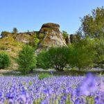 Panoramic view of Blackingstone Rock, an iconic landmark perfect for visitors to Wray Valley exploring Dartmoor Events 2026.