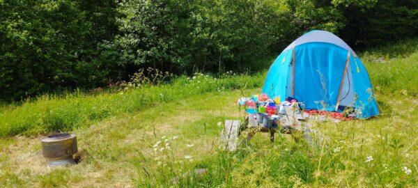 Blue tent and picnic table on the NEarly Wild Orchard pitch